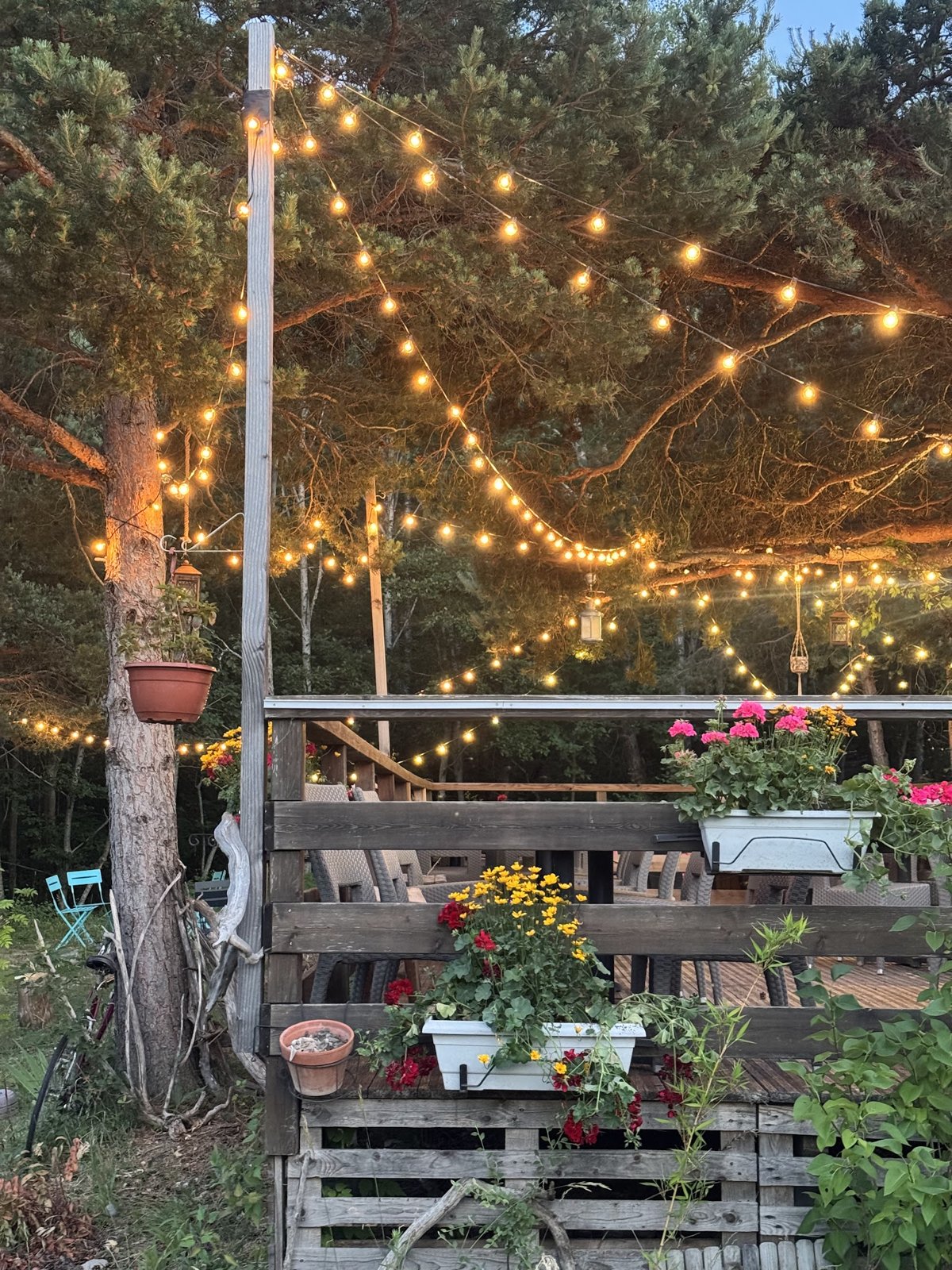 Guirlandes lumineuses et jardinières fleuries sous les pins