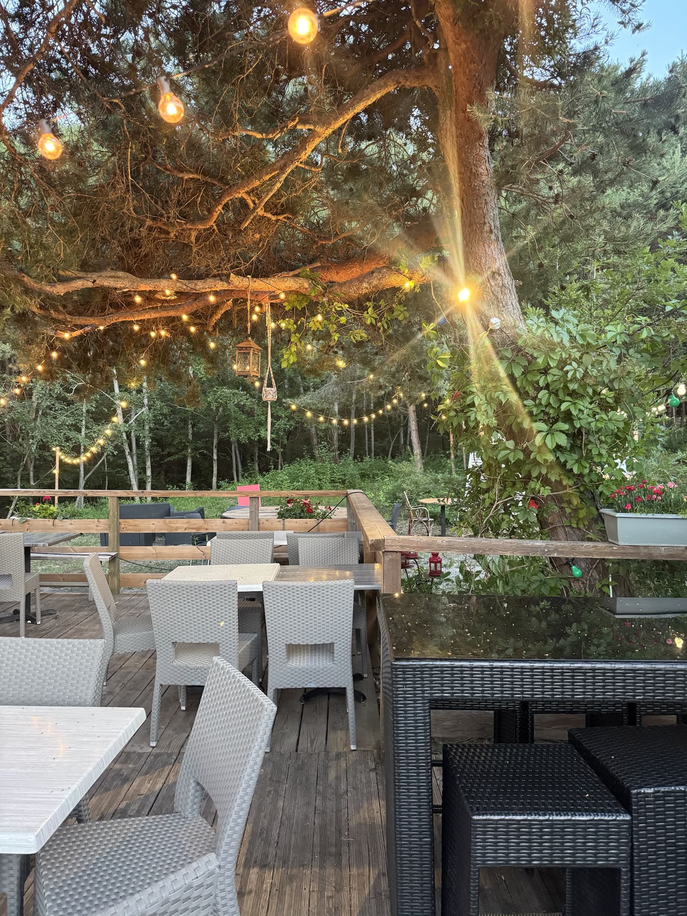 La terrasse sous les pins et les guirlandes lumineuses